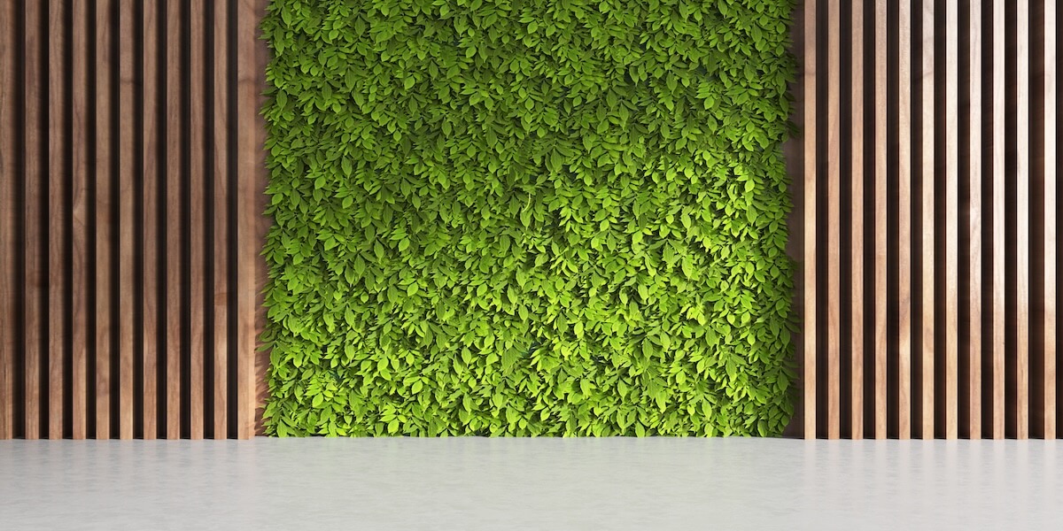 Green Wall Design professional cleaners